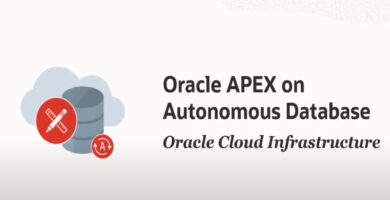 oracle apex